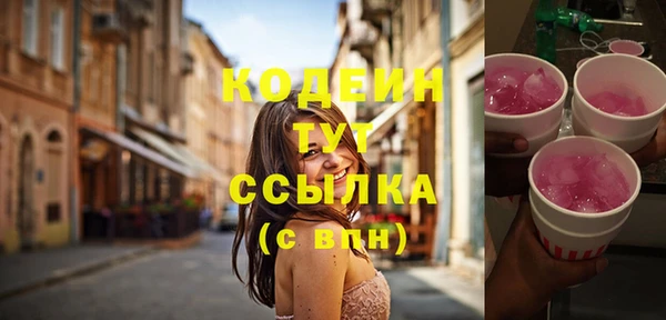гидра Гусь-Хрустальный