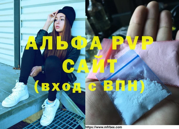 молекула духа Гусев
