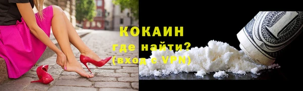 гидра Гусь-Хрустальный