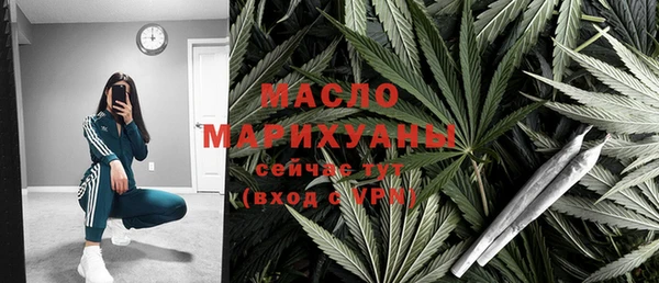 молекула духа Гусев