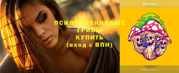 молекула духа Гусев